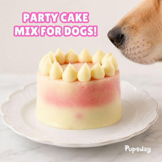 Party Cake Mix for Dogs