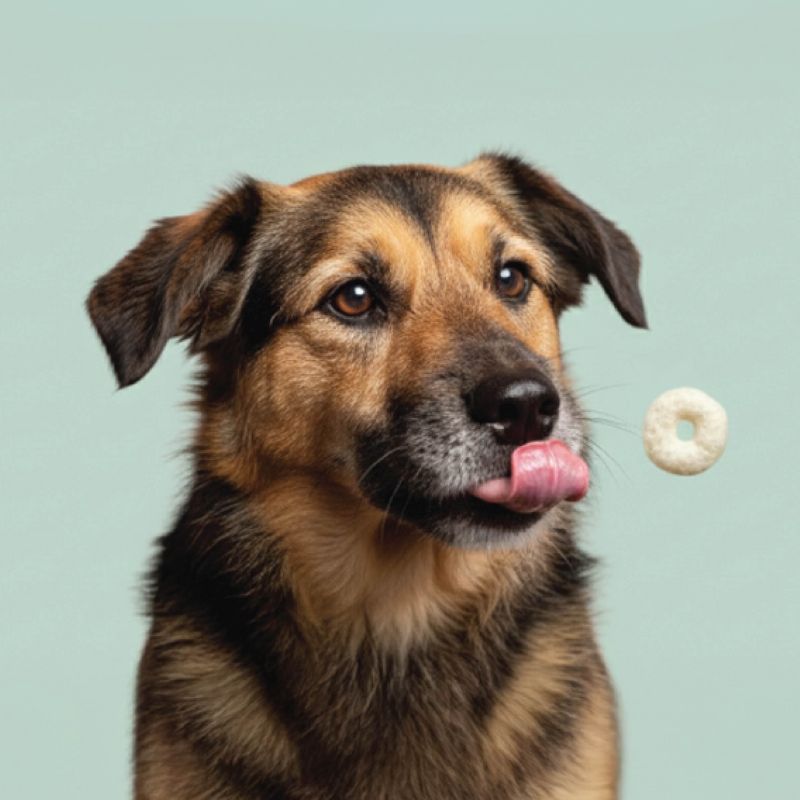 100% Happiness Guarantee